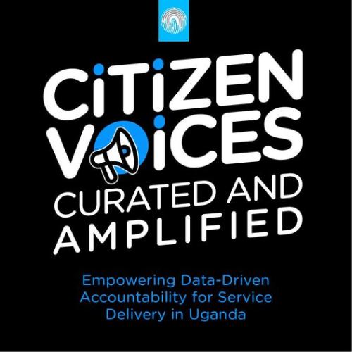 Citizen Voices Curated and Amplified